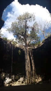 PHOTO_20190123_110300