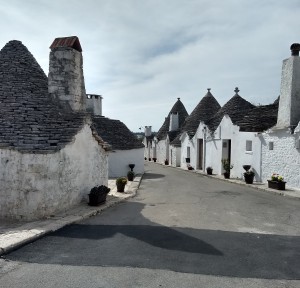 IMG_20190525_091445469_HDR