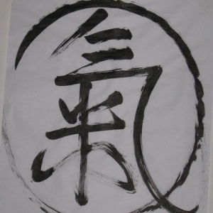Chungliang\'s Qi-lligraphy, Omega Institute